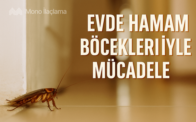 Evde Hamam Böcekleriyle Mücadele