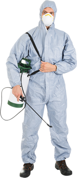 Mono İlaçlama Hizmeti